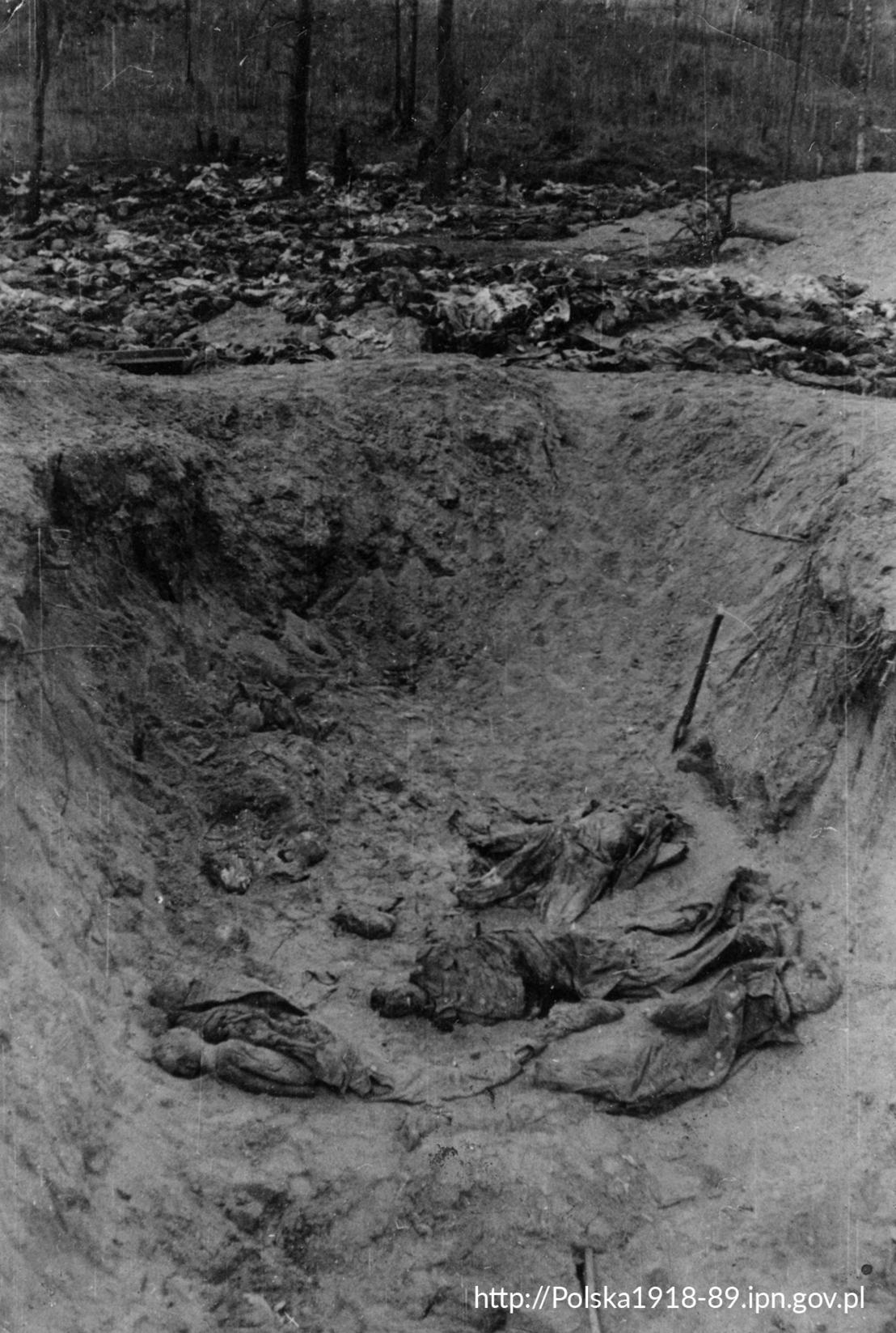 Zwłoki polskich oficerów w czasie ekshumacji.